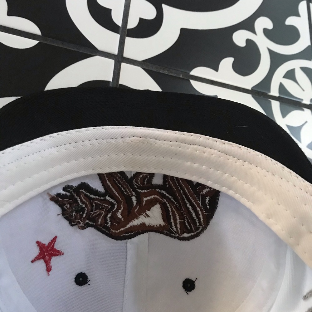 SnapBack - Picture 4 of 4